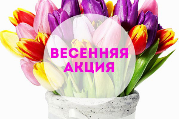 Весеннее снижение цен.